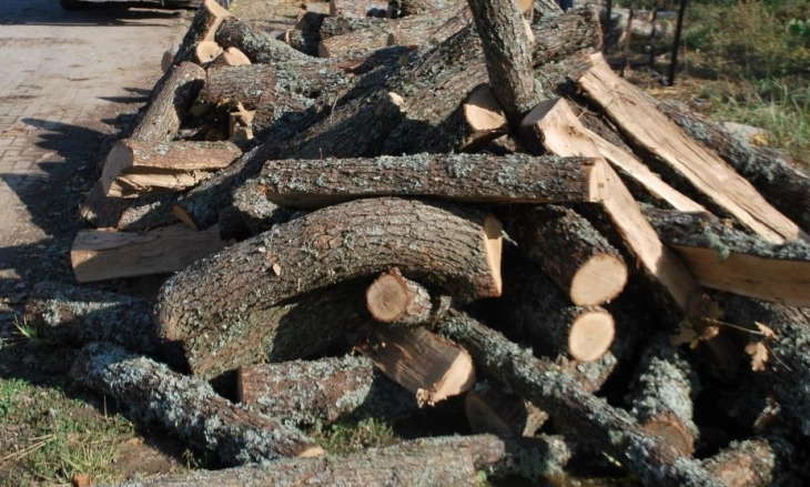 Полицијата во Радовиш заплени бесправно исечени огревни дрва