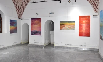 „Меѓу зора и самрак“ самостојна изложба на тетовската сликарка Ермира Реџепи