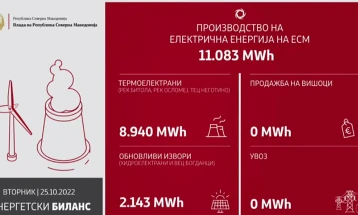 Владата преку редовно информирање на јавноста за енергетската криза ќе спречува ширење лажни вести и создавање паника