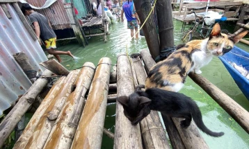 Најмалку 31 лице загина во поплавите и свлечиштата на Филипините