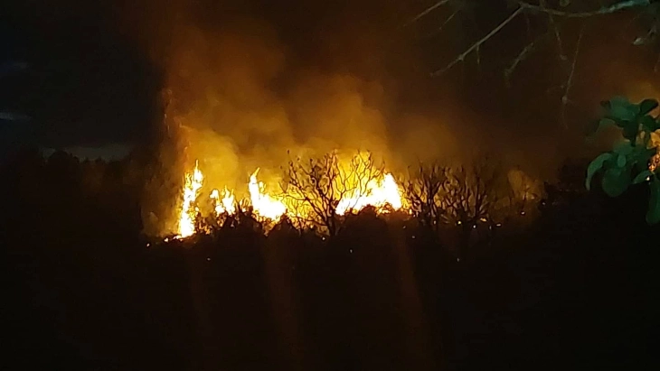 Пожар над селото Војница во општина Чашка