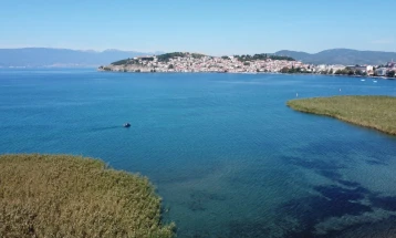 Зголемени површините со трска долж Охридското крајбрежје