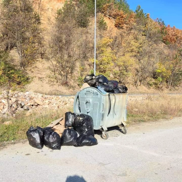 Се уредува градското зеленило во Македонска Каменица