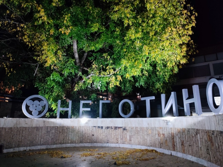 Нова веб-страница на општина Неготино