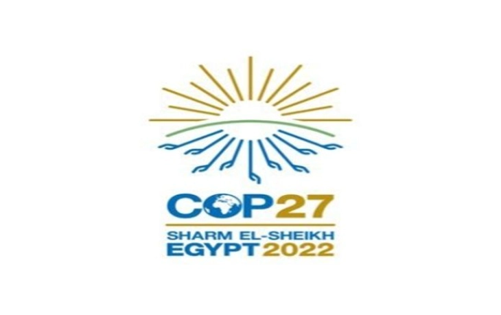 КОП27: Формирана група за контрола на исполнувањето на ветувањата за запирање на уништувањето на шумите