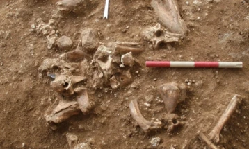 Во Хрватска пронајден скелет на дете од пред 6.500 години