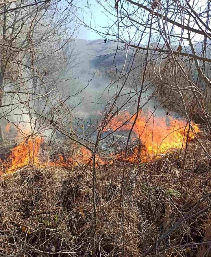 Zjarrfikësit e Strumicës sot pasdite kanë shuar tre zjarre të mëdha