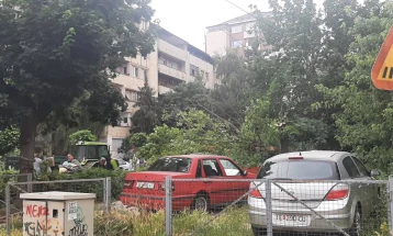 Nga era e fuqishme në Tetovë, një dru ka rënë mbi disa automobilë të parkuar