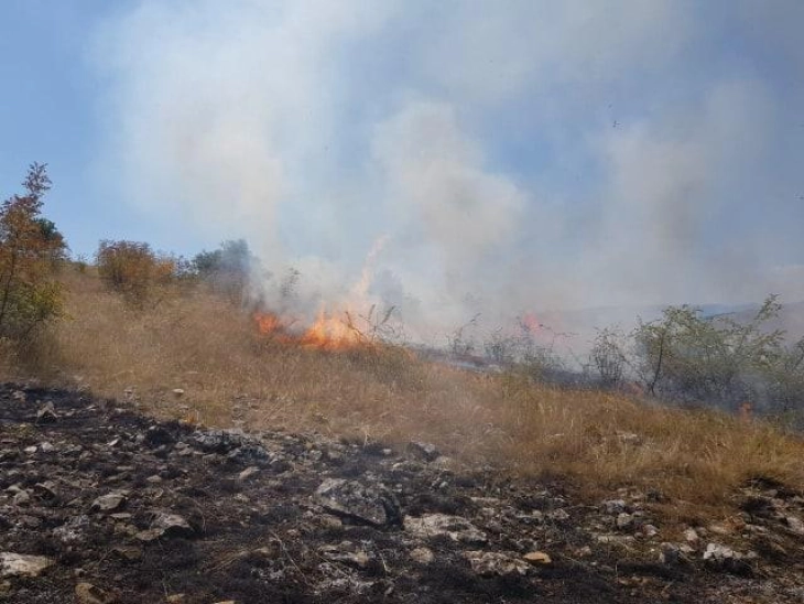 Po digjet pylli ndërmjet fshatrave të Berovës Mitrashincë dhe Budinarcë