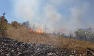 Po digjet pylli ndërmjet fshatrave të Berovës Mitrashincë dhe Budinarcë