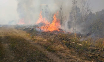 Berova kërkon që në shuarjen e zjarrit të kyçen edhe helikopterë