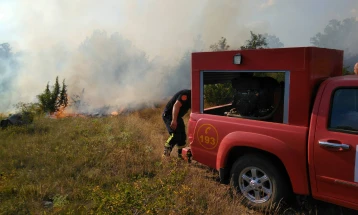 Zjarr në rajonin e Berovës