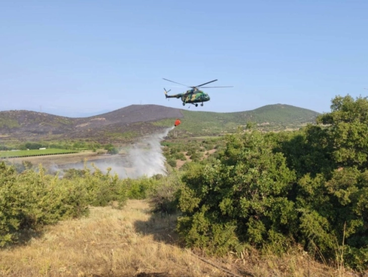 Nuk ka rrezik të përhapjes së zjarrit në Krivollak, të gjitha objektet infrastrukturore janë të sigurta