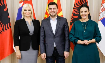 Grup i përbashkët pune nga Maqedonia e Veriut, Shqipëria dhe Serbia për bashkëpunim në krizën energjetike dhe projekte strategjike