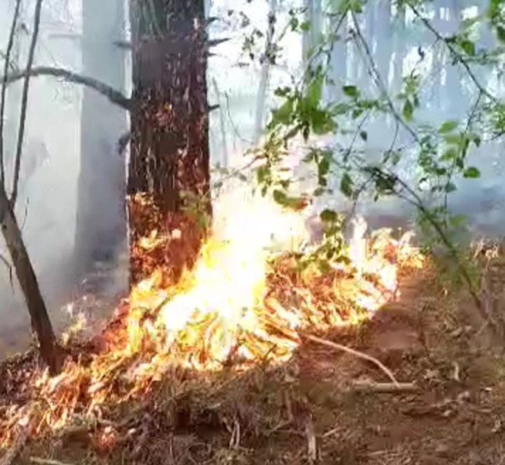 Parandalohet zjarr i përmasave më të mëdha mes fshatrave Istevnik i Vjetër dhe Pançarevë