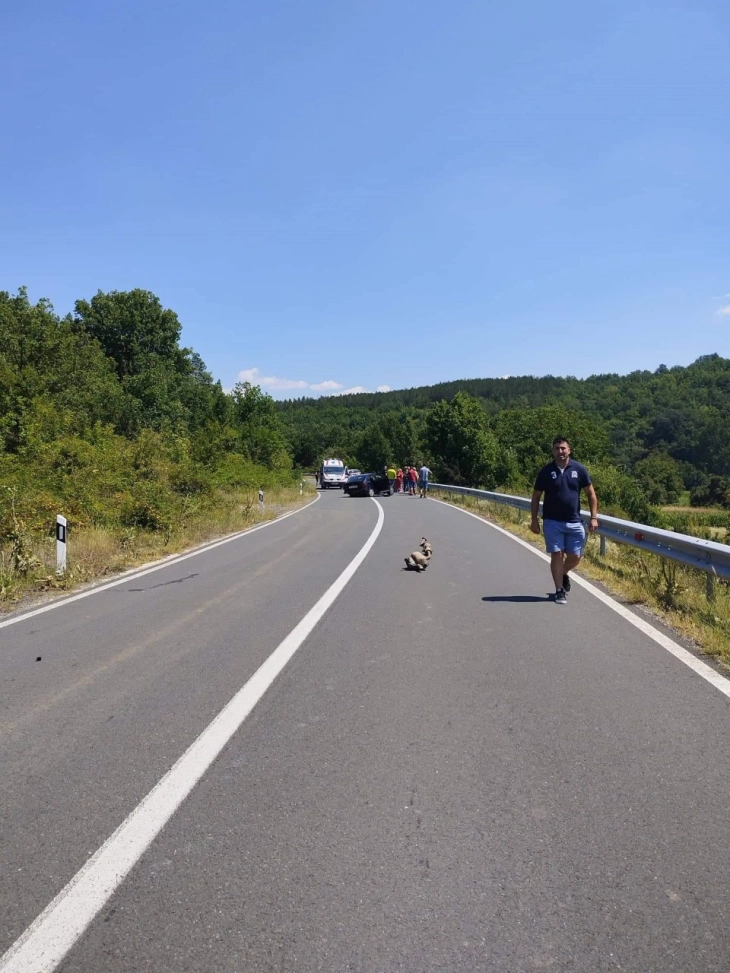 Tre të lënduar si pasojë e një aksidenti zinxhiror në rrugën Dellçevë-Makedonska Kamenicë