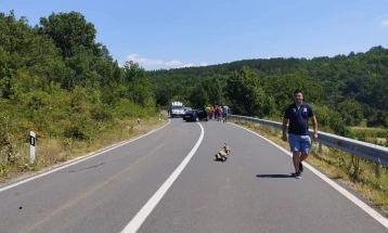 Tre të lënduar si pasojë e një aksidenti zinxhiror në rrugën Dellçevë-Makedonska Kamenicë