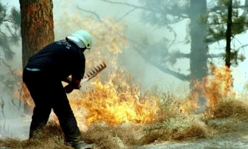 Forest fire out of control in Spain; 1,100 hectares destroyed