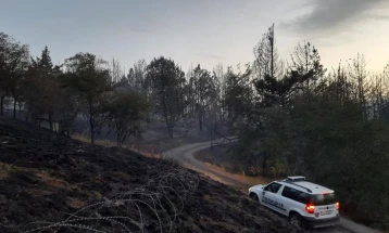 Nine wildfires active in North Macedonia, situation most critical in Staro Nagorichane