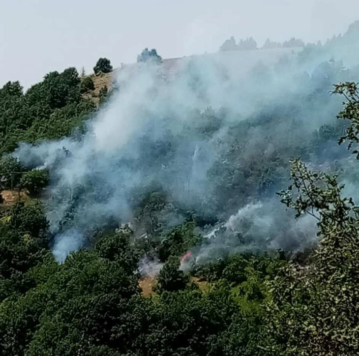 Kostin Dol wildfire near Kochani partly contained