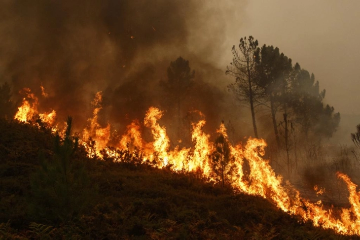 EU helps Italy, Greece, Albania and North Macedonia to fight devastating fires