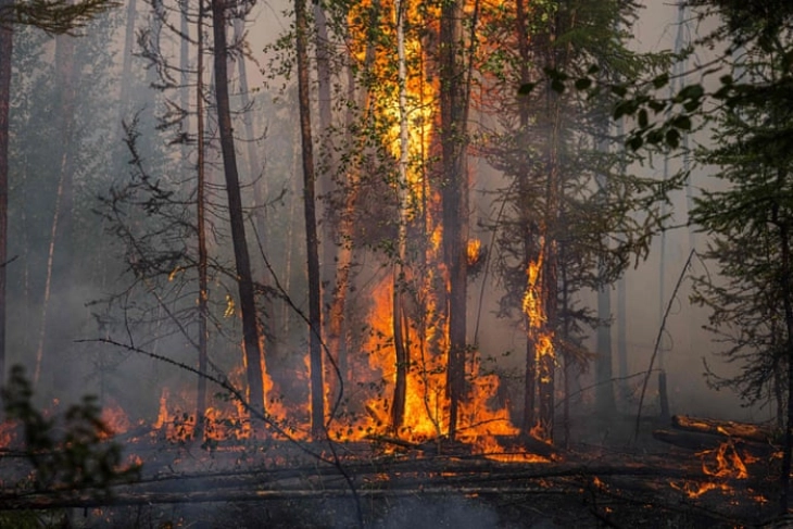 Wildfires require maximum alertness and responsible behavior from people