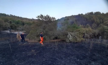 CMC’s Angelov: Budinarci wildfire put out