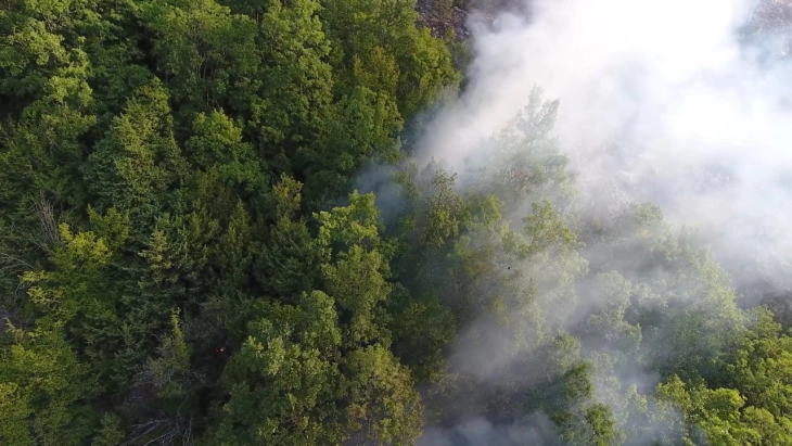 Flames at Raovikj, Bukovikj burning still; Krushje, Toplica fires tamed