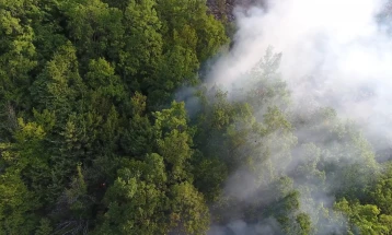 Flames at Raovikj, Bukovikj burning still; Krushje, Toplica fires tamed