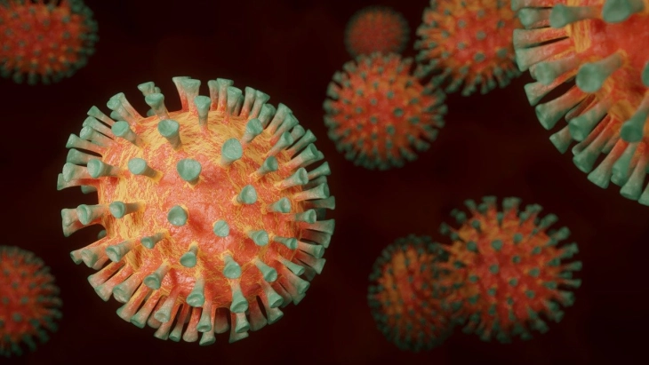 Belgium records first case of new virus variant, tightens measures