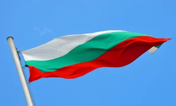 Bulgarian MFA not informed on French initiative