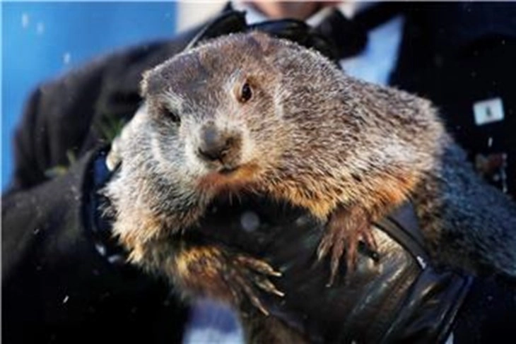 Groundhog Day 2022: More winter as Punxsutawney Phil sees his shadow