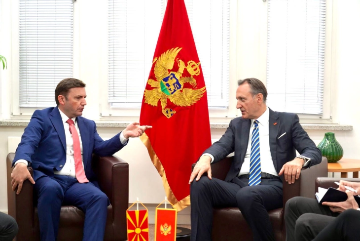 FM Osmani meets his Montenegrin counterpart Krivokapic in Berlin