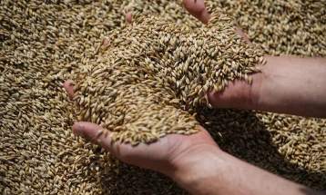 Ukraine close to finding solution to grain crisis, minister says