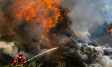 More people brought to safety in France as wildfires ravage Europe