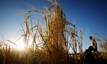 Serbia lifts ban on grain exports