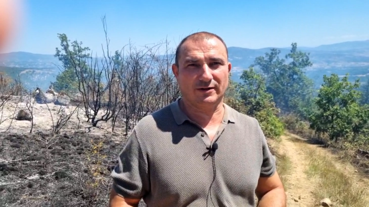 Maleshevo region fire expected to be under full control by end of the day, says Angelov
