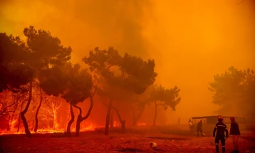 Major fires continue to sweep through north-eastern Greece and Lesbos