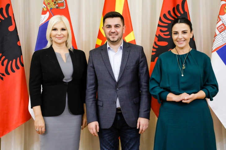 Serbia, Albania, North Macedonia set up joint working group on energy crisis and strategic projects