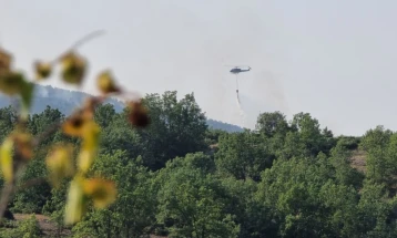 Three active fires in North Macedonia, largest burning at Krivolak