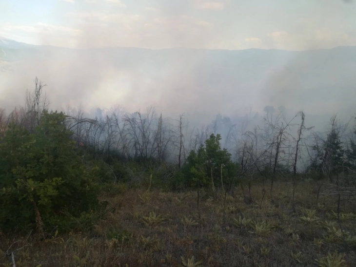 Ohrid fire under control