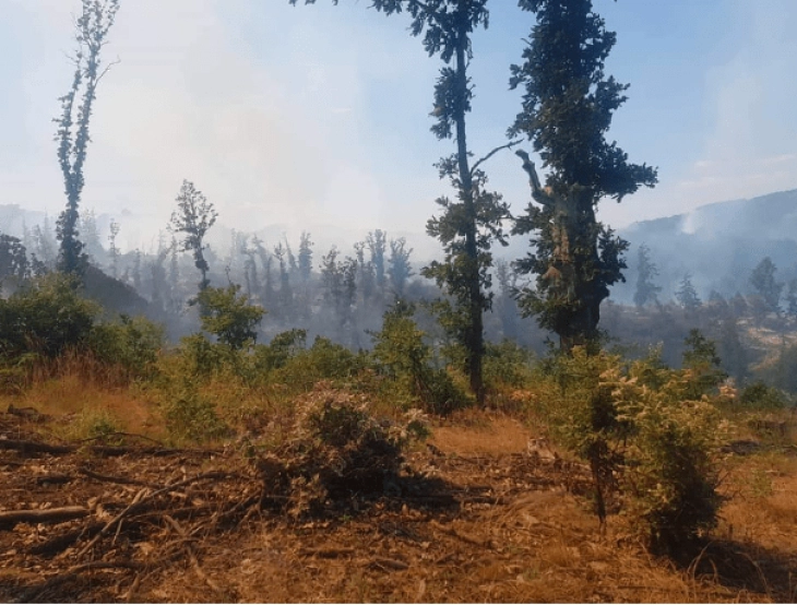 Ohrid fire remains active, other 26 extinguished