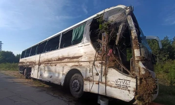 Driver of Serbian bus detained, Siika Mileva tells MIA