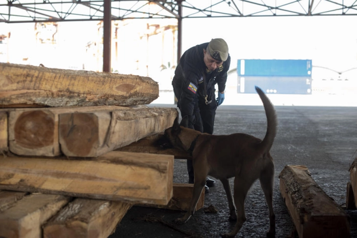 Ecuador officials find tons of cocaine in bananas bound for Europe