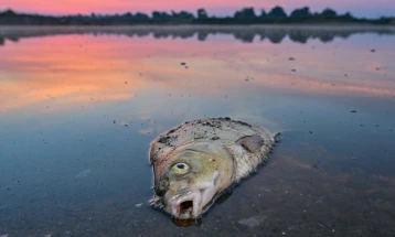 Polish authority: Over 280 illegal discharges into the Oder River