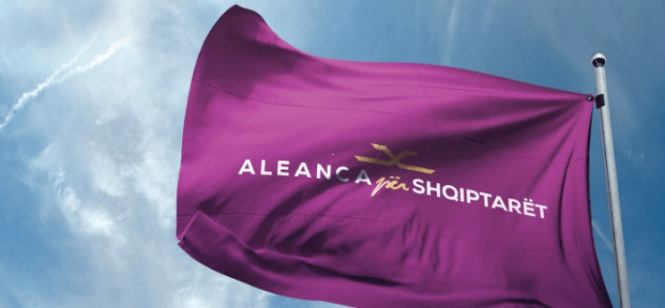 Alliance for the Albanians to choose new party leader
