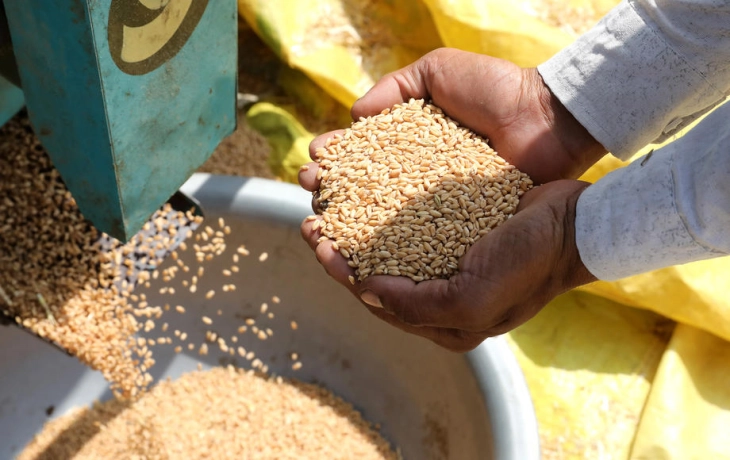 Government cancels decision on restricted wheat and flour exports