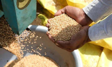 Government cancels decision on restricted wheat and flour exports