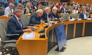 We'll build European continental Bosporus, Lokvenec tells MEPs 