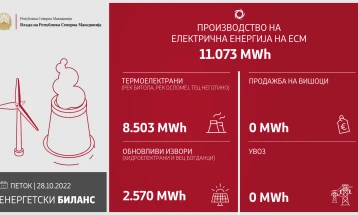 ESM fully meets electricity requirements of households and small consumers: gov't